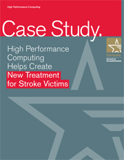 Stroke HPC